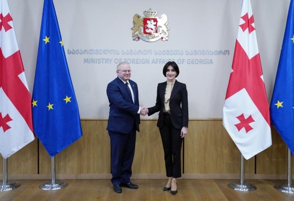 U.S., Georgia discuss Middle Corridor role and bilateral cooperation