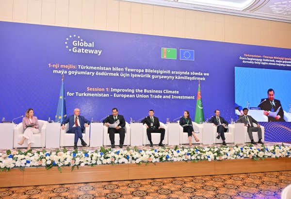 Turkmenistan hosts EU business forum on investment, trade and green transition