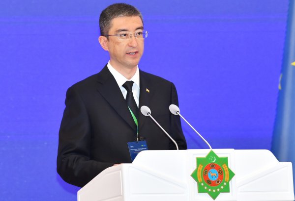 Turkmenistan ready to expand co-op with EU across key sectors, minister says