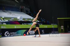 31st Azerbaijan Rhythmic Gymnastics Championships wrap up in Baku (PHOTO)