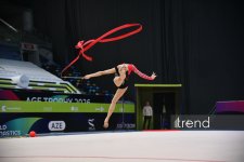 31st Azerbaijan Rhythmic Gymnastics Championships wrap up in Baku (PHOTO)