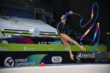 31st Azerbaijan Rhythmic Gymnastics Championships wrap up in Baku (PHOTO)