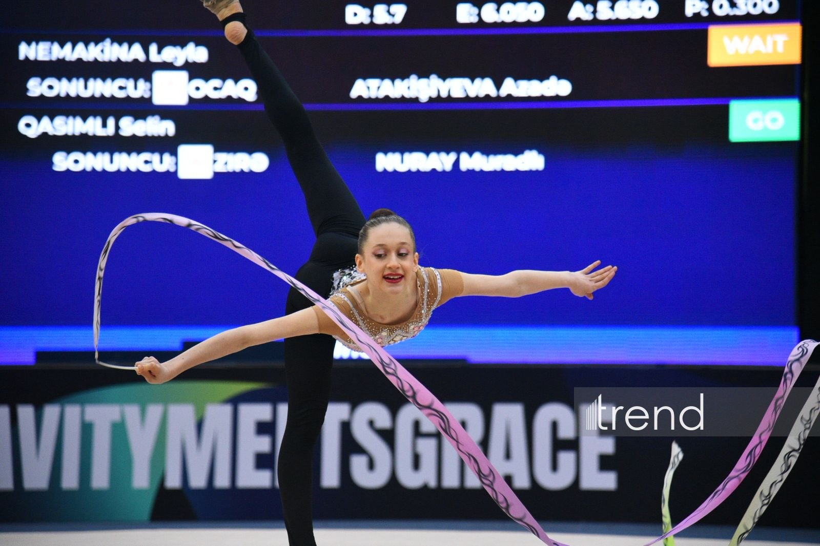 31st Azerbaijan Rhythmic Gymnastics Championships wrap up in Baku (PHOTO)