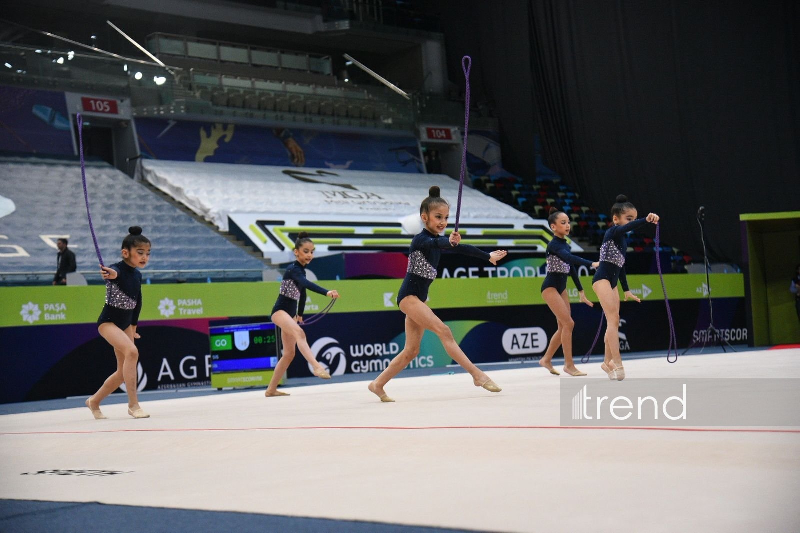 31st Azerbaijan Rhythmic Gymnastics Championships wrap up in Baku (PHOTO)
