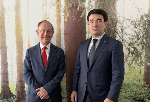 Turkmenistan, EU discuss cooperation on environment and water management
