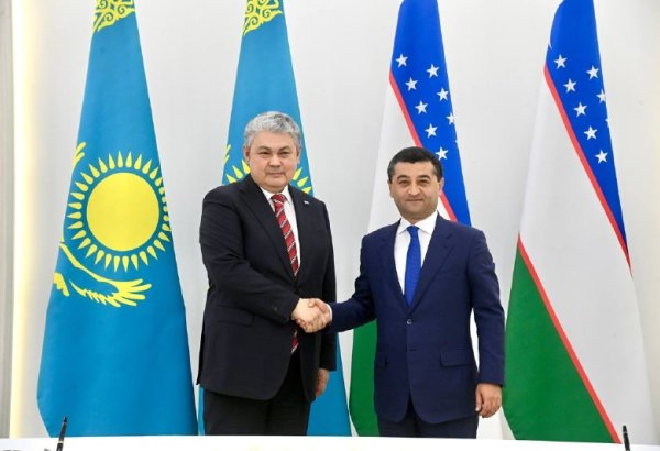 Visit with purpose: Uzbekistan and Kazakhstan move to structure their ties