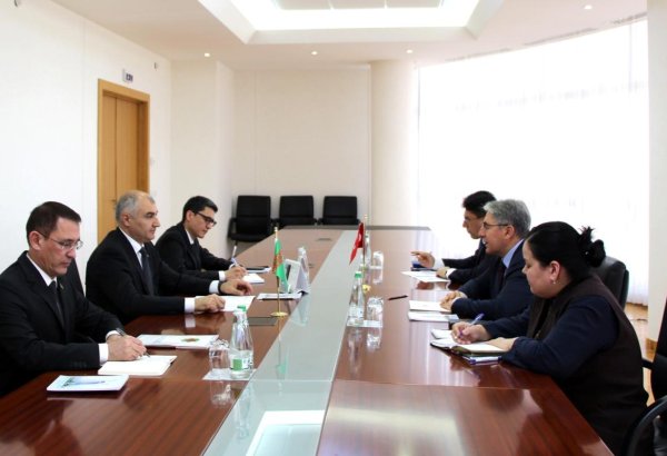 Turkmenistan, Türkiye discuss expansion of bilateral relations