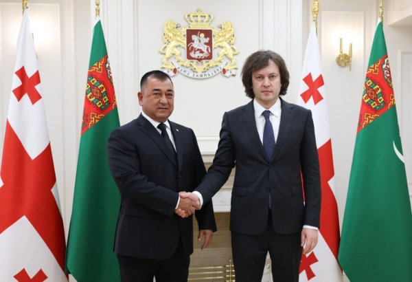 Georgian PM meets Turkmen Deputy PM in Tbilisi