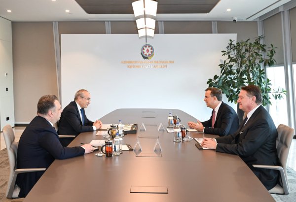 Azerbaijan discusses economic cooperation with Turkish company