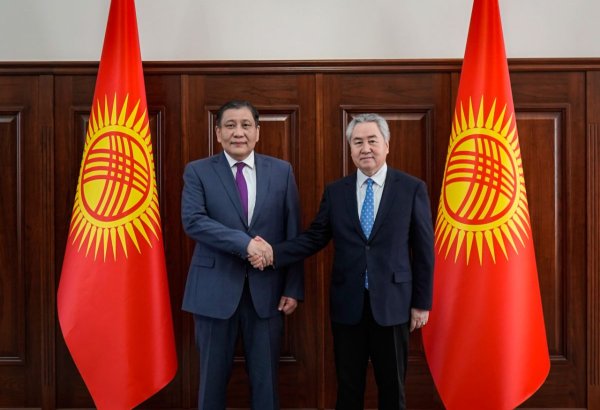 Kyrgyzstan and Mongolia strengthen political and economic ties