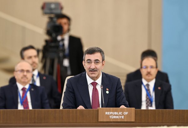 OTS investment fund to commence financing operations shortly - Turkish VP