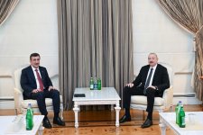President Ilham Aliyev receives delegation led by Vice President of Türkiye (PHOTO)