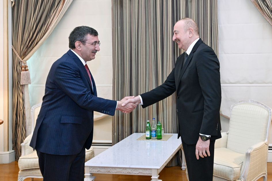 President Ilham Aliyev receives delegation led by Vice President of Türkiye (PHOTO)