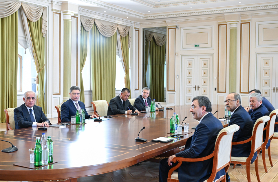President Ilham Aliyev receives participants of meeting of heads of government of OTS member states (PHOTO/VIDEO)