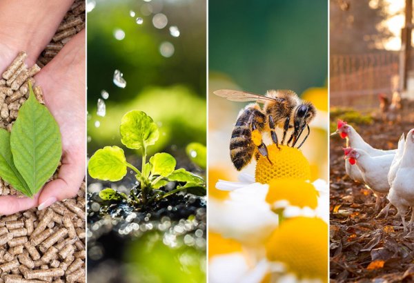 Turkmenistan’s agricultural sector grows in 1Q2026