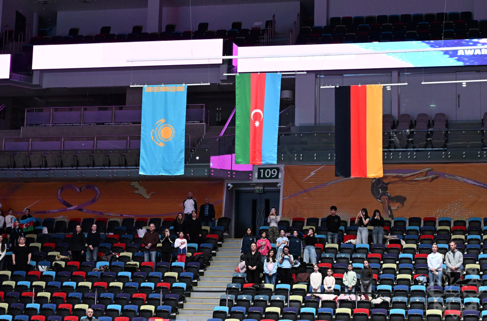Azerbaijani gymnast wins gold medal (PHOTO)