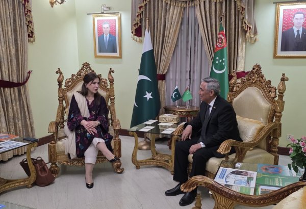 Turkmenistan, Pakistan discuss boosting trade and advancing joint energy projects