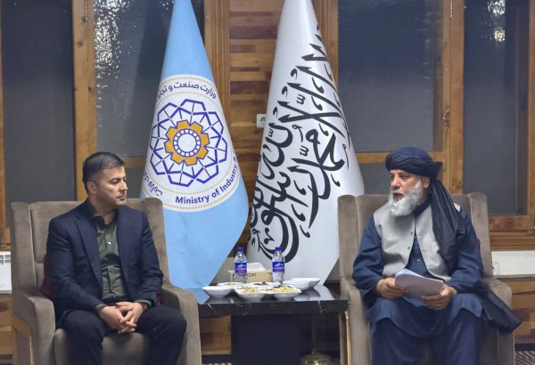 Uzbekistan, Afghanistan eye $500 mln pharmaceutical trade