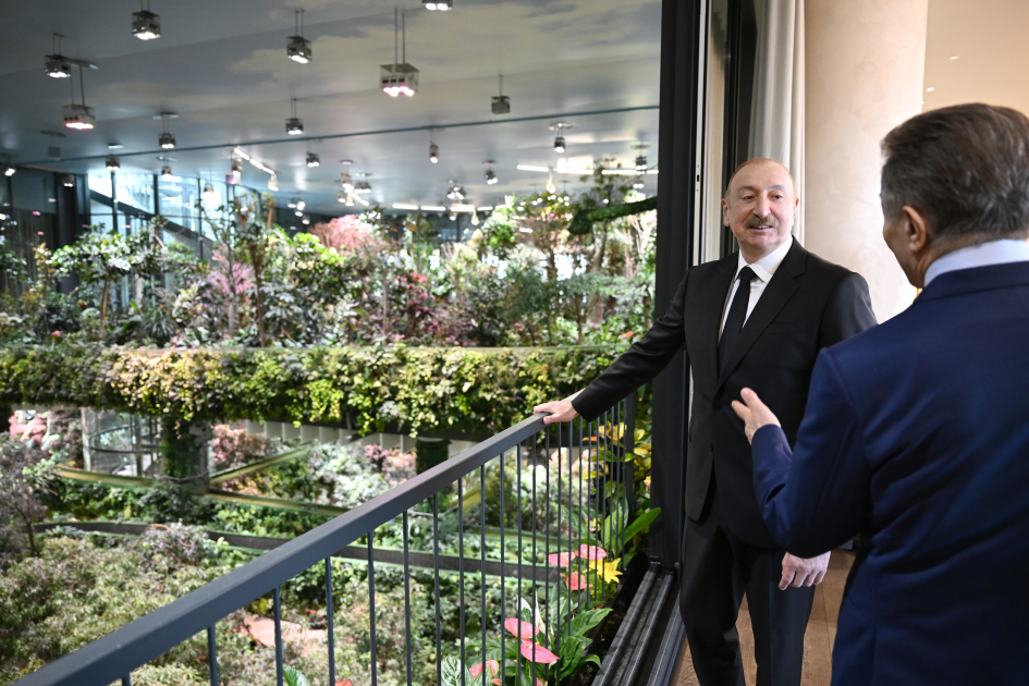 Tbilisi hosts luncheon in honor of President Ilham Aliyev (PHOTO/VIDEO)