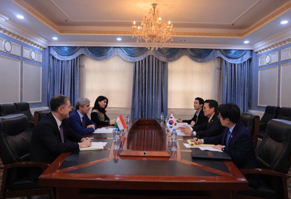 Tajikistan, South Korea discuss expanding bilateral co-op