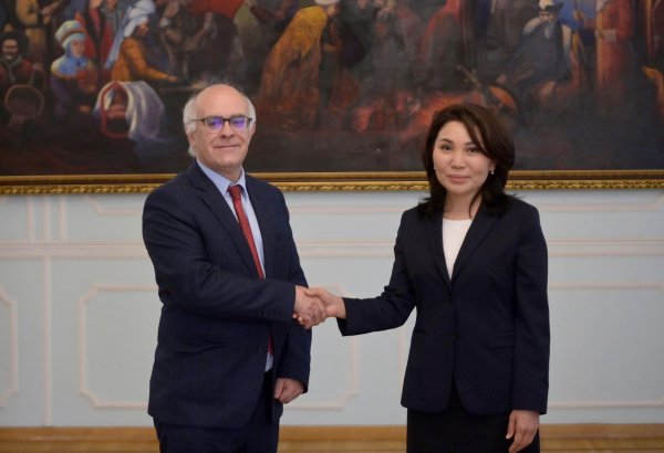 Kyrgyzstan, France discuss interparliamentary cooperation and bilateral ties
