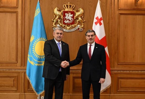 Kazakhstan, Georgia prioritize positive dynamics and co-op in high-level meeting