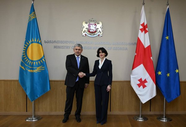 Kazakhstan and Georgia discuss strengthening strategic cooperation