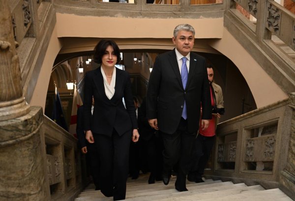 Kazakhstan, Georgia discuss dev't of Trans-Caspian International Transport Route