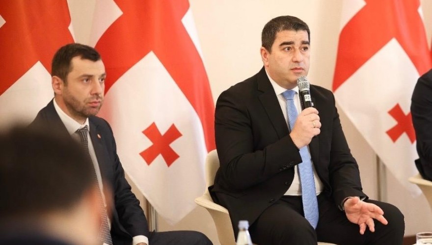 Georgian Parliament explores dev't of Middle Corridor and transport infrastructure