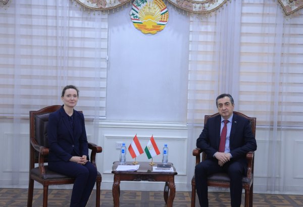 Tajikistan, Austria explore opportunities for strengthening diplomatic ties