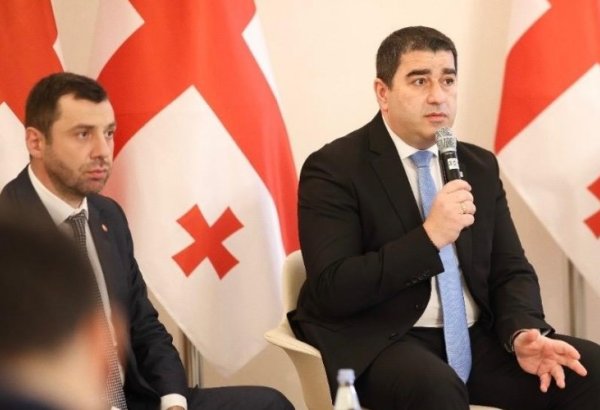 Georgian Parliament explores dev't of Middle Corridor and transport infrastructure