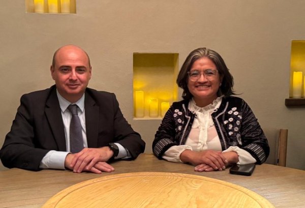 Azerbaijan, Mexico discuss issues of cultural and educational cooperation