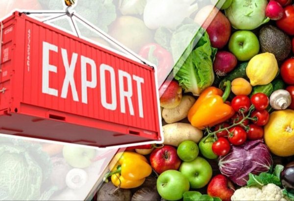 Uzbekistan’s fruit and vegetable exports rise in early 2026