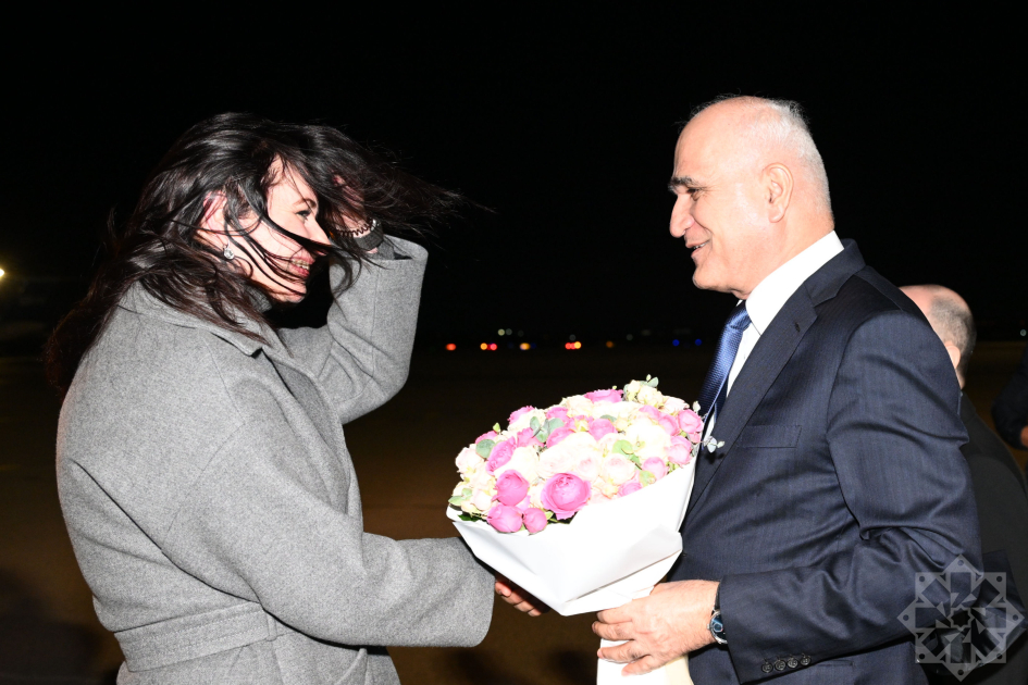 Lithuanian Prime Minister arrives in Azerbaijan (PHOTO)