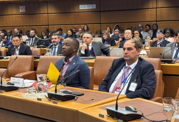 Azerbaijan showcases its green energy initiatives at int'l forum in Vienna