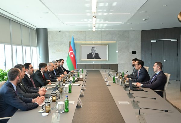 Azerbaijan explores AI infrastructure dev't with U.S. tech giant Haimake