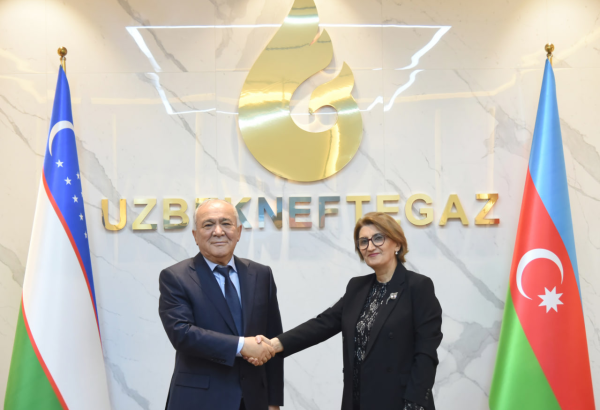 Uzbekneftegaz, SOCAR discuss prospects for joint projects