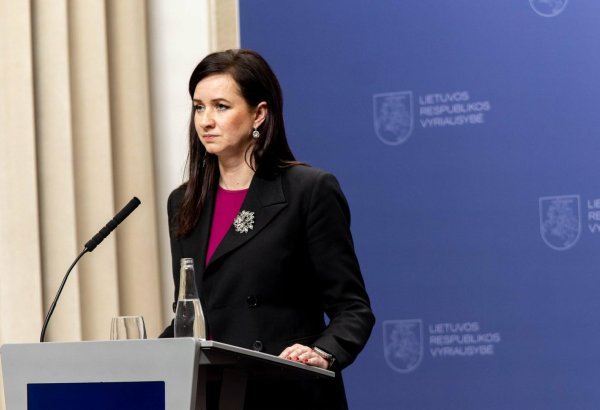 Lithuania would welcome greater Azerbaijani investment in transport, manufacturing - Inga Ruginienė (Exclusive)