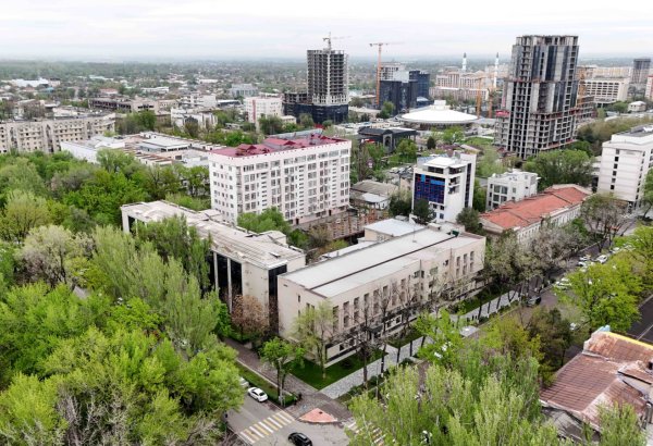 Kyrgyzstan discloses Kyrgyzaltyn’s profit and revenue figures for 2025