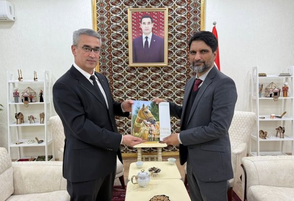 Turkmenistan, Pakistan discuss energy and transport cooperation
