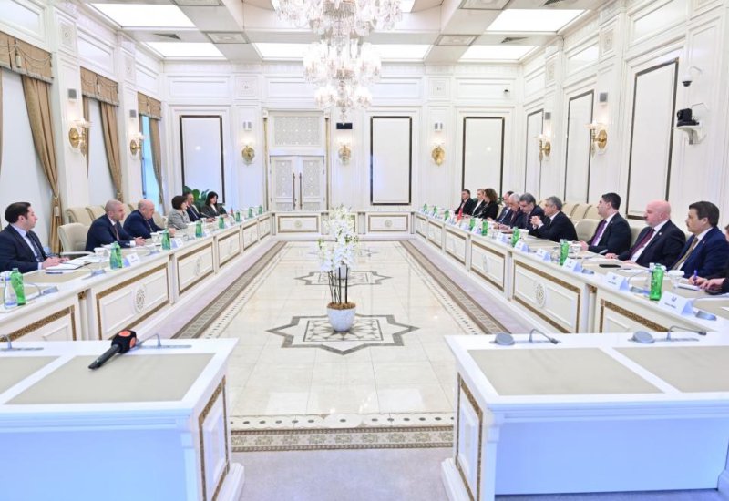 Azerbaijani Parliament Speaker meets with Türkiye and Northern Cyprus delegations (PHOTO)