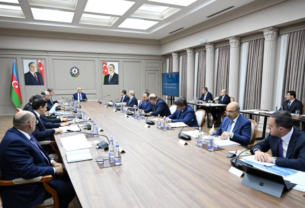 Azerbaijan's Economic Council discusses business issues at next meeting (PHOTO)