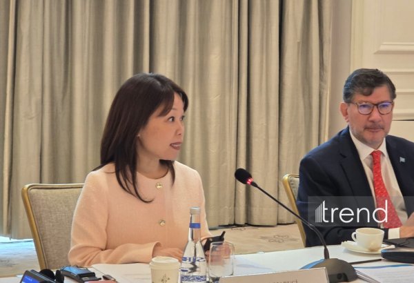 Azerbaijan, UN strengthen strategic alliance: New phase with multi-million dollar goals