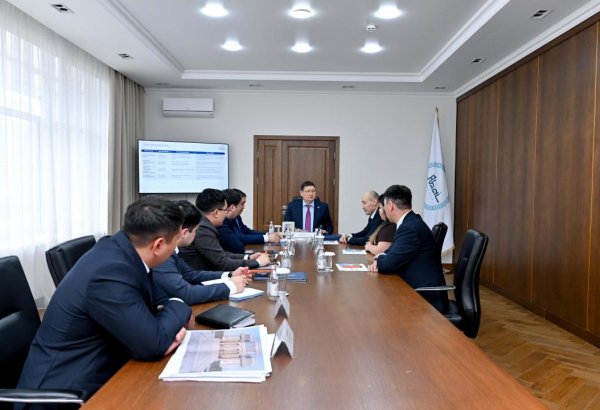 Kazakhstan’s company plans to build mining and processing complex in Abai region