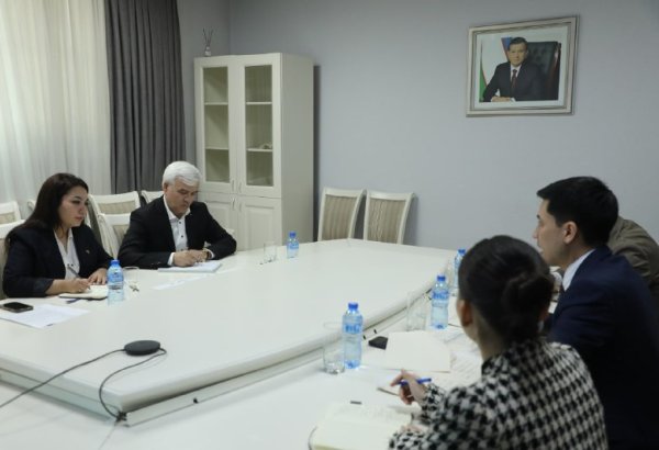 Uzbekistan sets sights on more German firms in strategic sectors