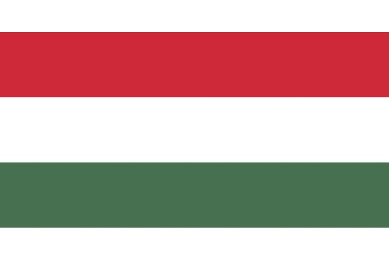 Hungarian citizens in Azerbaijan vote in parliamentary elections