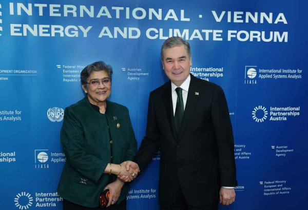 Turkmenistan, UN discuss cooperation on sustainable development and energy transition