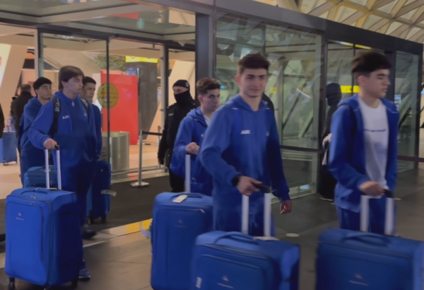 Azerbaijani gymnasts return home following their performance at European Championships (VIDEO)