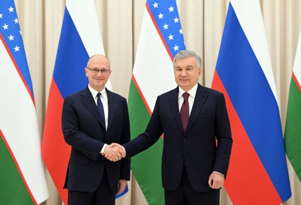 Uzbekistan, Russia review plans for construction of nuclear power plant