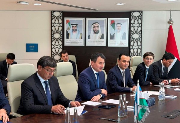 Uzbekistan, UAE firms explore broader investment cooperation